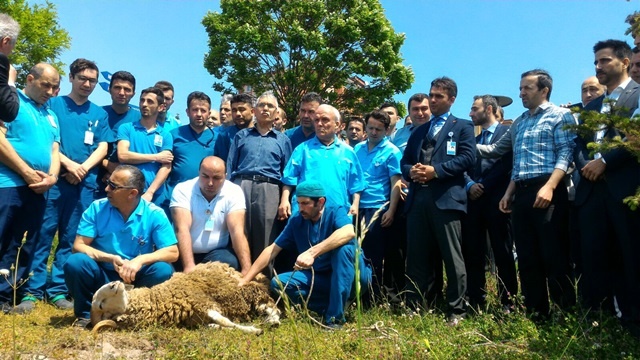 4d’li sürekli işçiler ne istiyor? 7