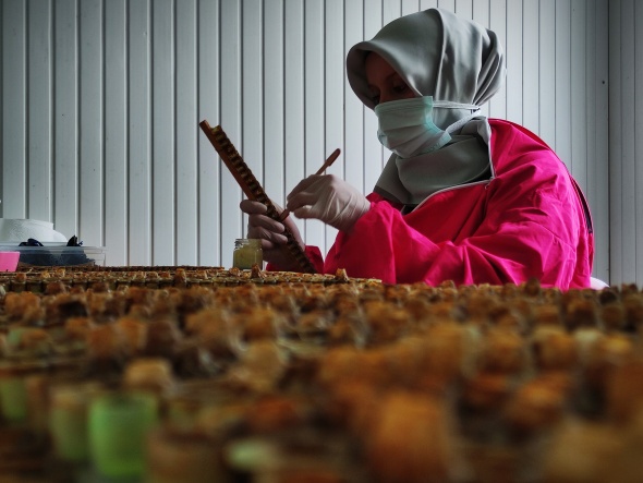 Gram gram sağdığı arı sütünün kilosunu 8 bin liradan satıyor 3