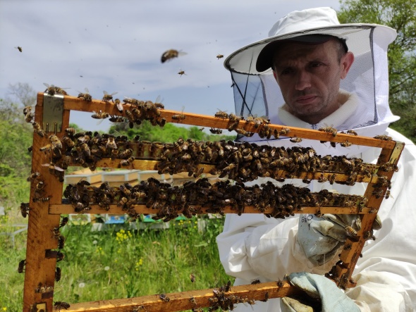 Gram gram sağdığı arı sütünün kilosunu 8 bin liradan satıyor 15