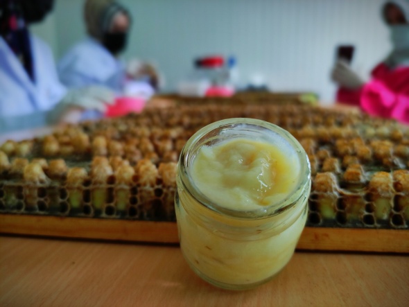 Gram gram sağdığı arı sütünün kilosunu 8 bin liradan satıyor 11