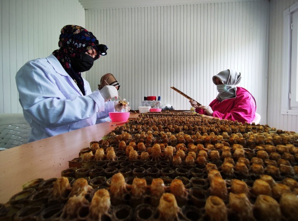 Gram gram sağdığı arı sütünün kilosunu 8 bin liradan satıyor 17