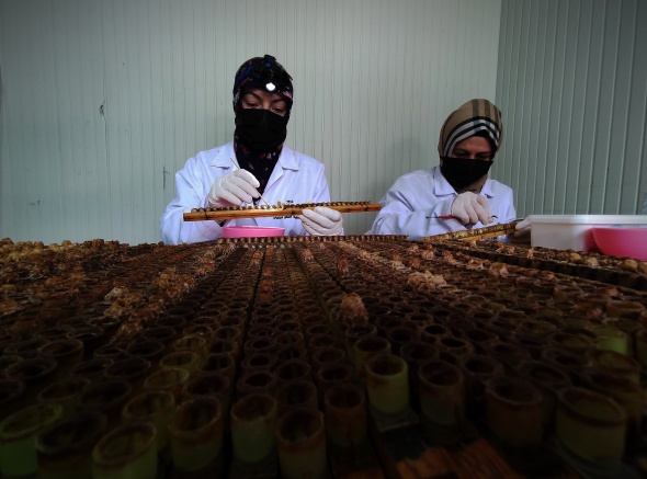 Gram gram sağdığı arı sütünün kilosunu 8 bin liradan satıyor 16