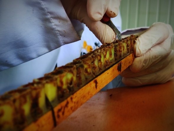 Gram gram sağdığı arı sütünün kilosunu 8 bin liradan satıyor 18