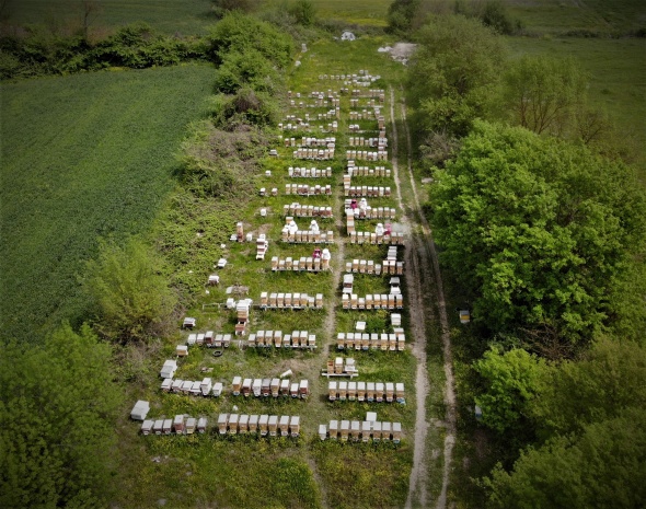 Gram gram sağdığı arı sütünün kilosunu 8 bin liradan satıyor 10
