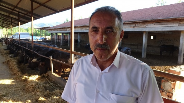 Afrika değil Tokat, bu görüntüler belgeselleri aratmadı 7