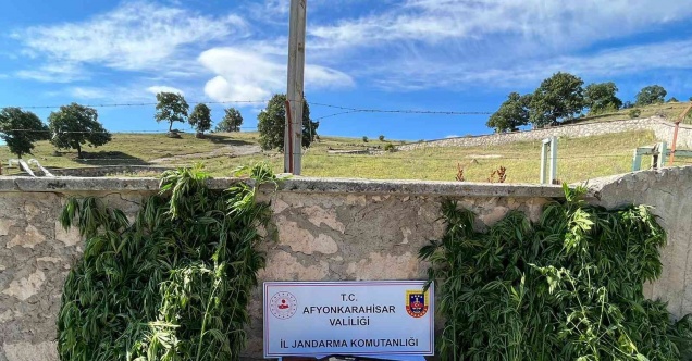 Köy evlerine uyuşturucu baskını