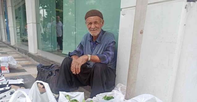 Asma yaprağı geçim kaynağı oldu