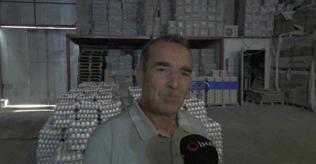 Yumurta üretimi durma noktasında