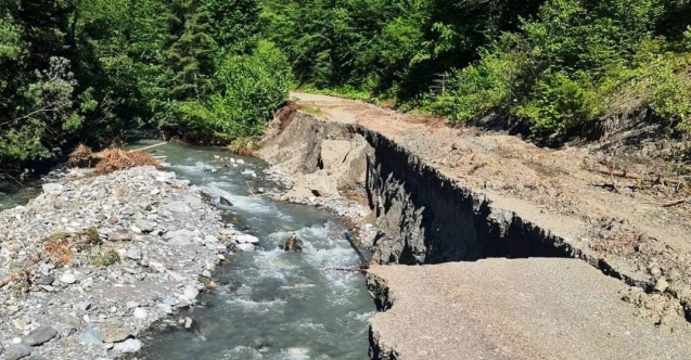 Selde zarar gören orman yolları onarılıyor
