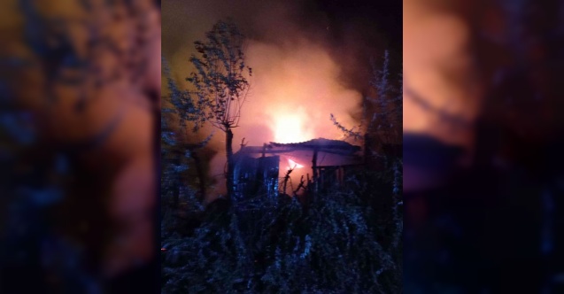 Van’da odunluk yangını