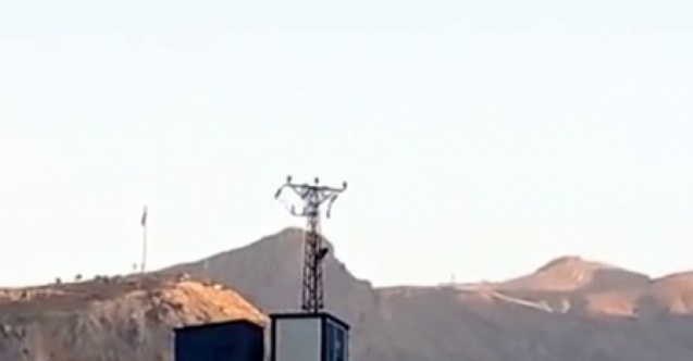 Dağ keçileri kent merkezinde görüntülendi