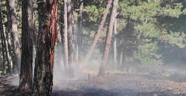 İşçilerin dikkati orman yangınını önledi