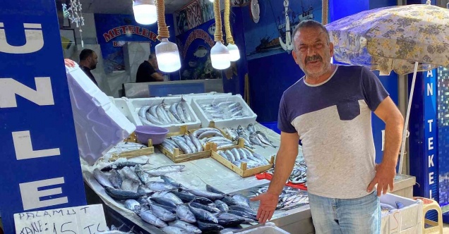 Sinop’ta az miktarda avlanan hamsinin kilosu 50 TL