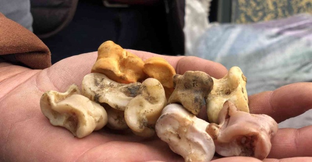 Bin yıllık ’aşık oyunu’ Erzincan’da hayat buldu