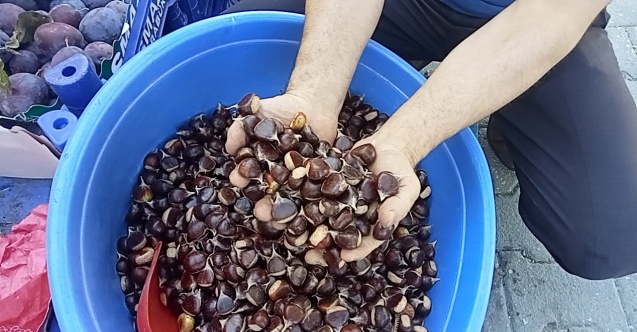 Kestanenin fiyatı 15 liraya kadar düştü