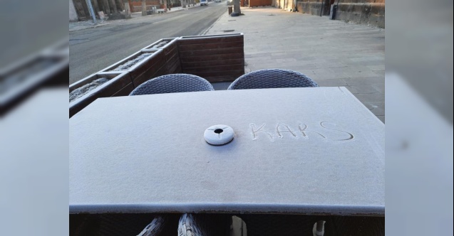 Elazığ’da asırlık 24 dut ağacı kesildi