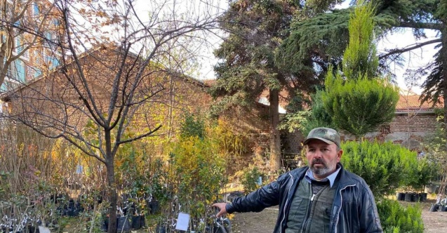 Soğuk havada revaçta olan fidanlar