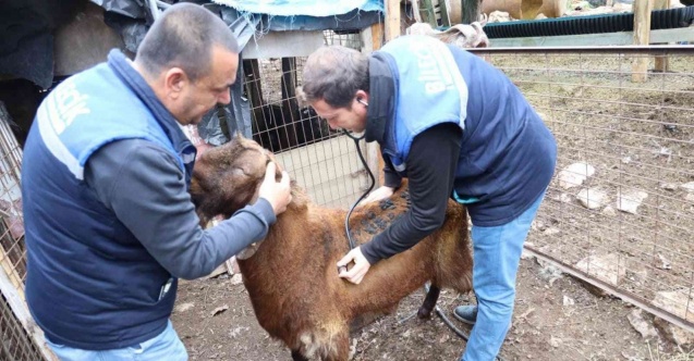 Yangında 8 küçükbaş hayvanı telef olan aileye destek