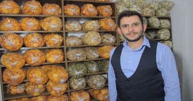 Mühendisliği bıraktı, Elazığ’da bir ilki başardı: Meyve kurusu siparişlerine yetişmeye çalışıyor