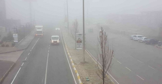 Erzincan’da sis ve soğuk hava etkili oldu