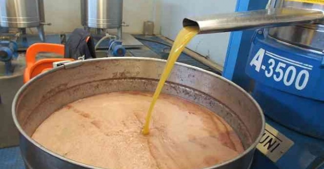 Öğrenciler zeytinin yağa dönüşümünü izledi