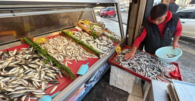 Tezgahlar hamsi ile şenlendi