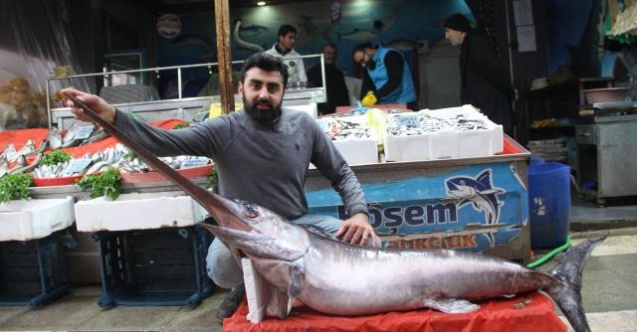 2 metrelik kılıç balığı ilgi odağı oldu