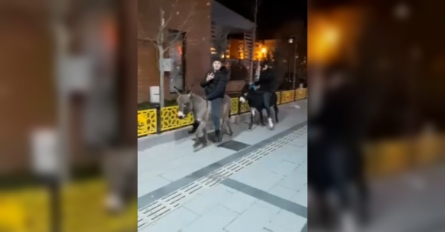 Yeni yılın en ilginç görüntüsü Bayburt’tan