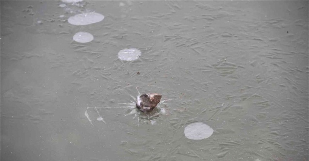Elazığ’da havuzlar dondu, bayrak buz tuttu