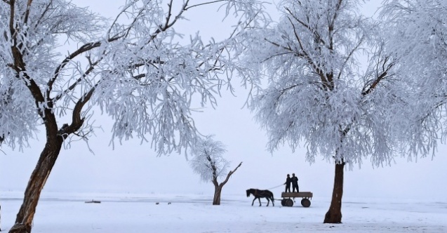 Bitlis’te kırağı tutan ağaçlar kartpostallık görüntü oluşturdu