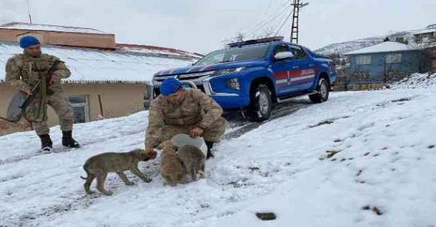 Tunceli’de jandarmadan yürekleri ısıtan davranış