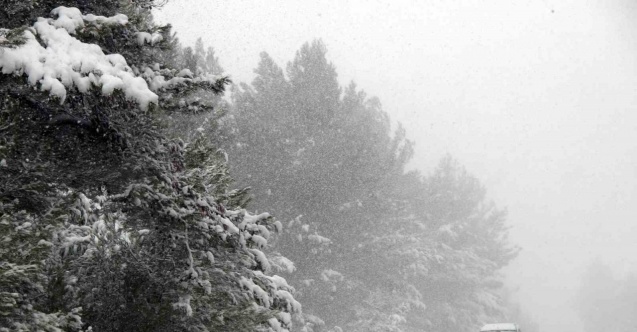 Muğla’nın 6 ilçesinde kısmi kar tatili