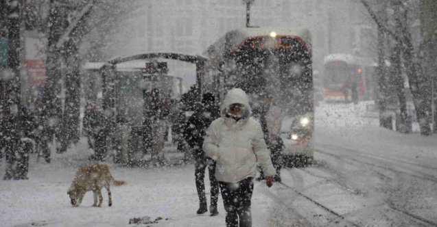 Ağrı’da okullar tatil edildi