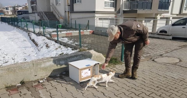 Sokak kedileri üşümesin diye kedi evleri Bolu’nun dört bir yanına konuldu
