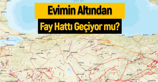 Evinizin altından fay hattı geçiyor mu? Uygulama ile sokağına kadar görebilirsiniz..