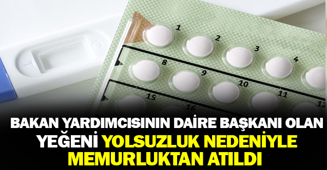 Bakan Yardımcısının Yeğeni Yolsuzluk Nedeniyle Memuriyetten Atıldı