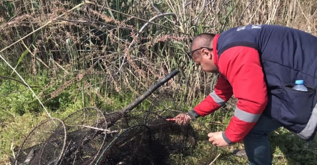 Didim’de kaçak yakalanan balıklar suya geri bırakıldı