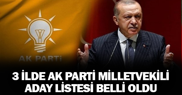 Ak Parti'de 3 ilde milletvekili adayları listesi belli oldu