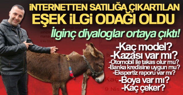 Pendik'te, internetten 7 bin 500 TL'ye satışa çıkarılan eşek ilgi odağı oldu