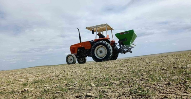 Kırşehir’de tarladaki mahsulleri soğuk vurdu