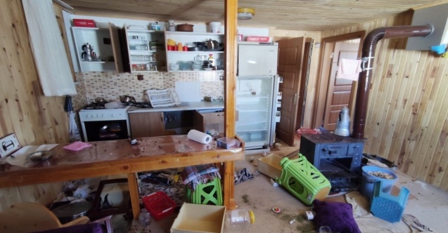 Dev ayı 4 aydır yaylada girilmedik ev bırakmadı