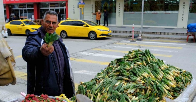 Lezzet ve şifa deposu çiriş otu tezgahlarda yerini aldı