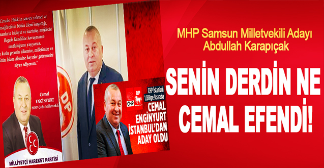 Senin Derdin Ne Cemal Efendi!