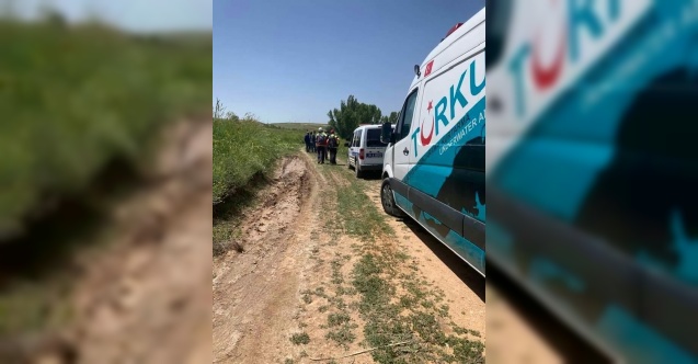 Ot toplamak isteyen yaşlı kadın kayboldu