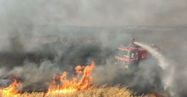 Gaziantep'te 7 bin dönüm buğday tarlası yandı
