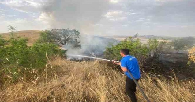 Siirt’te 65 dönüm buğday kül oldu