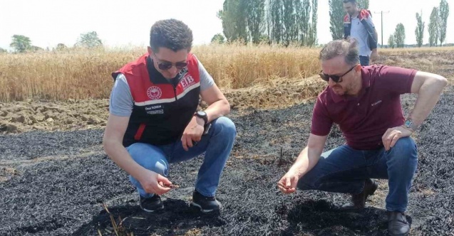Tepebaşı İlçe Tarım Müdürlüğü yangın çıkan tarlalarda inceleme yaptı