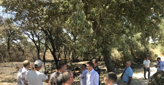 Kaymakam Memiş, 33 koyunun telef olduğu ağılda inceleme yaptı