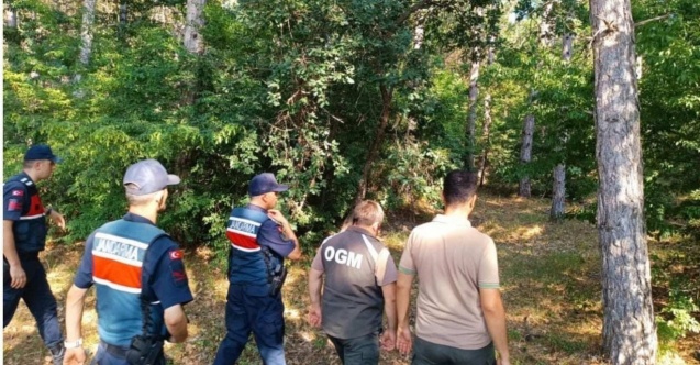 Ormanlar 7/24 gözetim altında