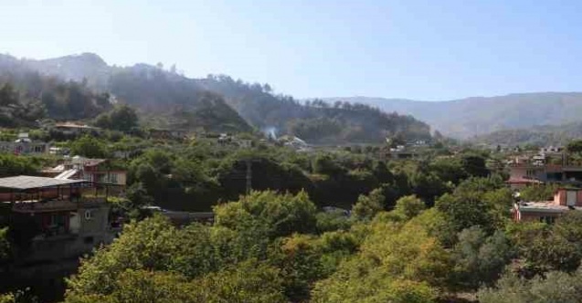 Orman yangını kontrol altına alındı